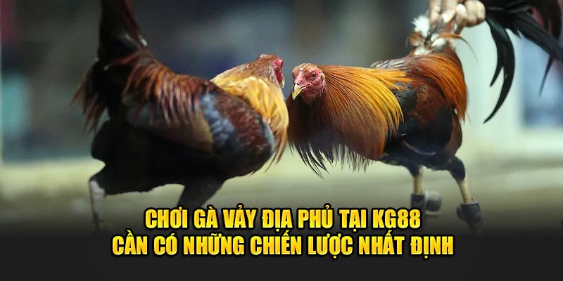 Chơi tại KG88 cần có những chiến lược nhất định