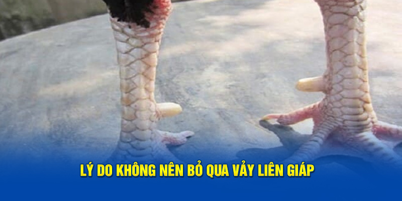 Lý do không nên bỏ qua vảy liên giáp