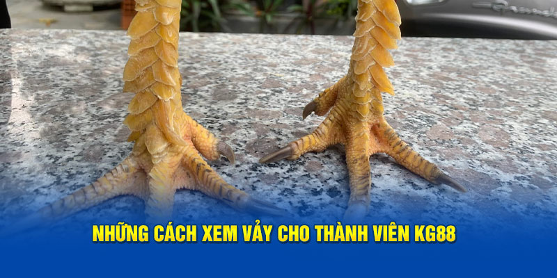 Những cách xem vảy cho thành viên KG88