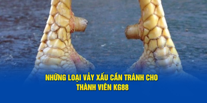 Những loại vảy xấu cần tránh cho thành viên KG88