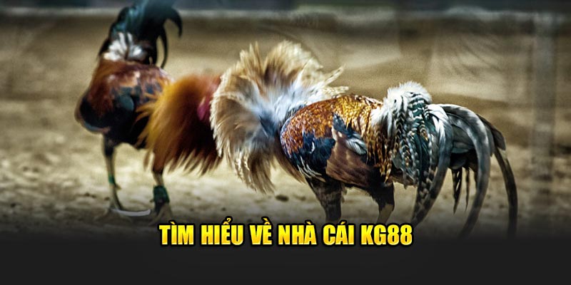 Tìm hiểu về nhà cái KG88