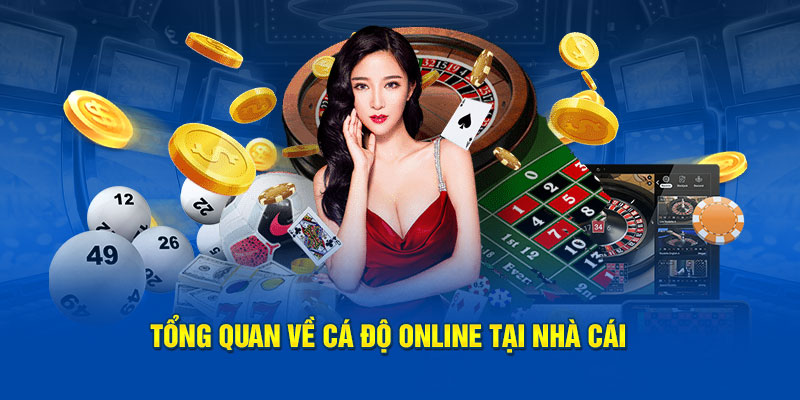 Tổng quan về cá độ online tại nhà cái