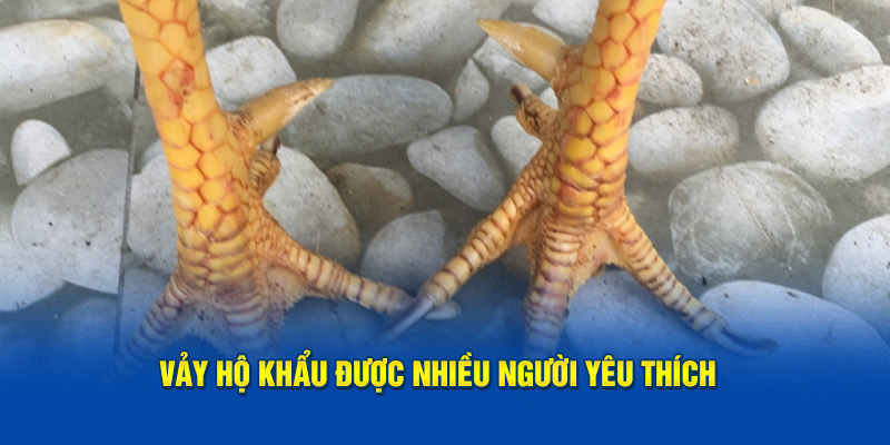 Vảy hộ khẩu được nhiều người yêu thích